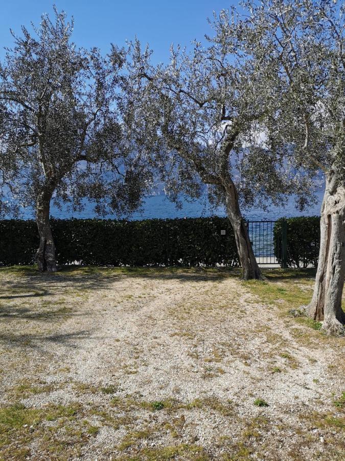 Camping Baldo Brenzone sul Garda Kültér fotó