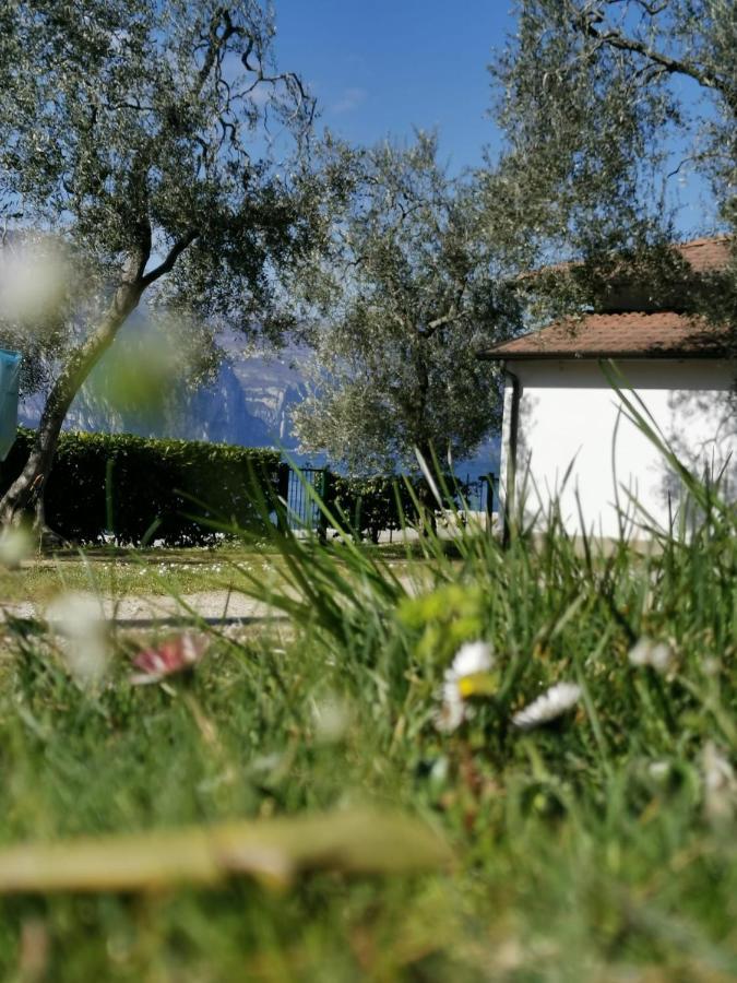 Camping Baldo Brenzone sul Garda Kültér fotó