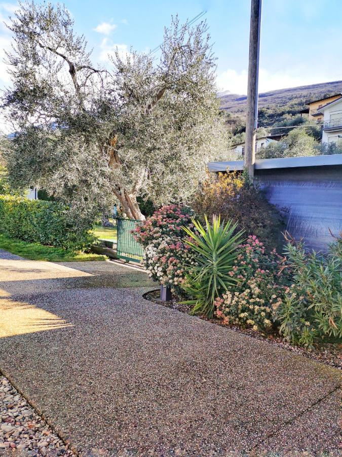 Camping Baldo Brenzone sul Garda Kültér fotó