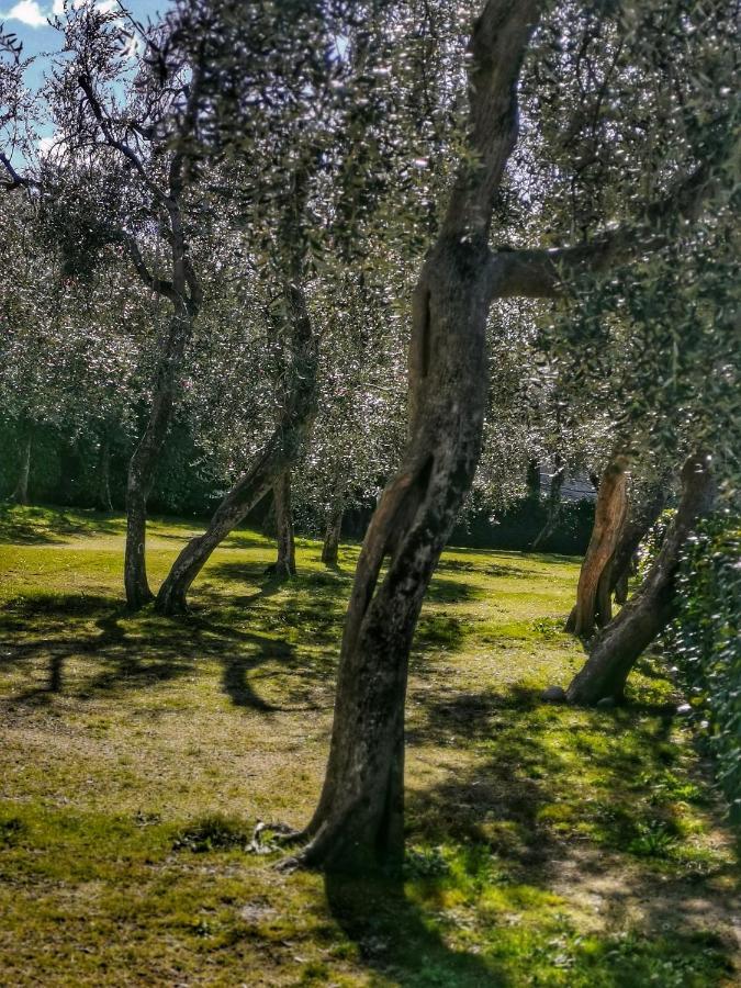 Camping Baldo Brenzone sul Garda Kültér fotó