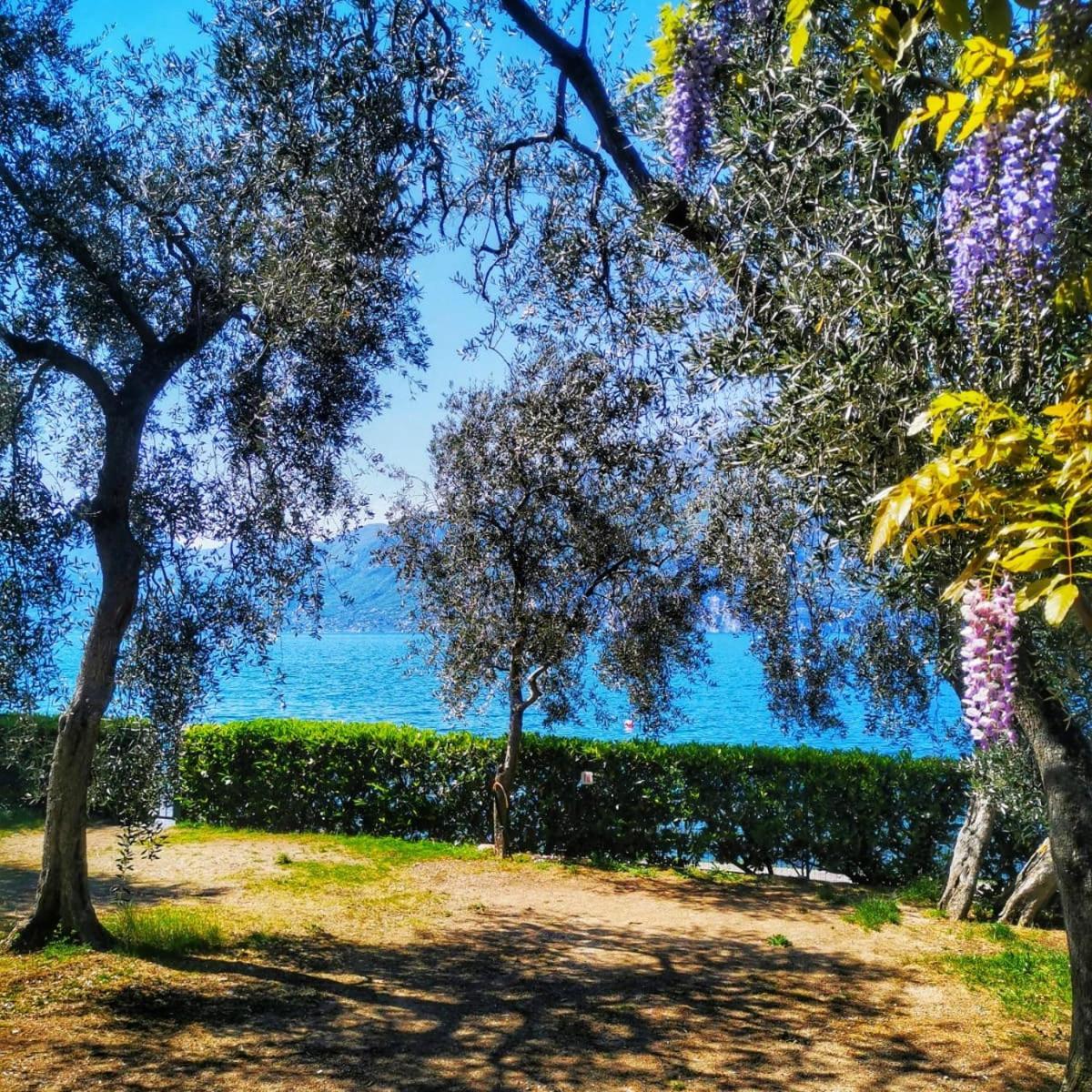 Camping Baldo Brenzone sul Garda Kültér fotó